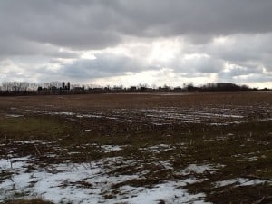 view-of-barren-fields-in-winter