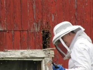 Beekeeper holding a crowbar.