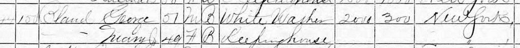 1870-census-entry-for-george-and-mary-bland