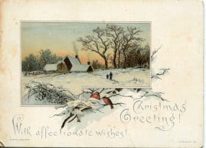 an outdoor winter scene with two birds in a nest and a house in the background