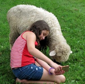 young lady posing for a photo with a sheep