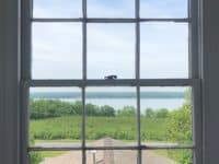 View through a 6-over-pane window across a pitched roof and field to a lake.