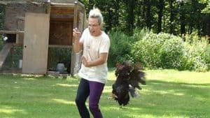 a person being chased by a chicken