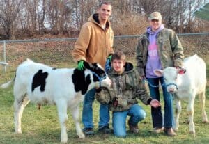 Three Teenagers With Two Calves
