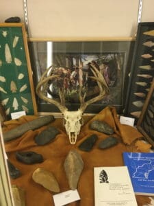 A display of an antler head surrounded by projectile points in cases and books.