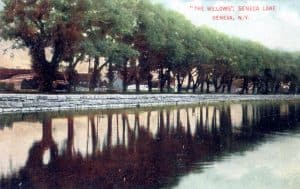 Postcard of the Willows