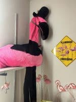 A very large stuffed flamingo with a top hat on a cabinet shelf near a flamingos crossing sign.