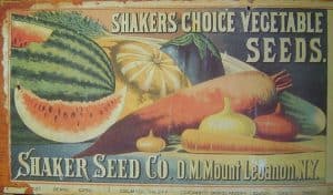A Shaker Seed Coompany seed package with a drawing of various vegetables on it.