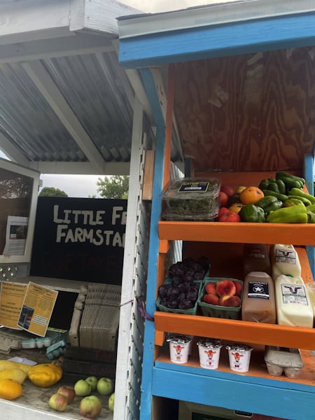 Little Free Farmstand with shelves of milk, yogurt, eggs, fruit and vegetables.