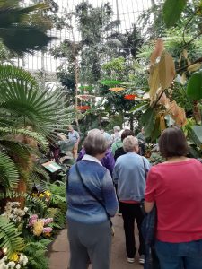 People walking through the Buffalo and Eric County Botanical Gardens