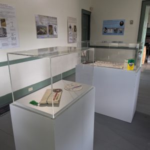 Rotating exhibit in the Johnston House.